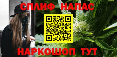 прущие грибы Чебаркуль