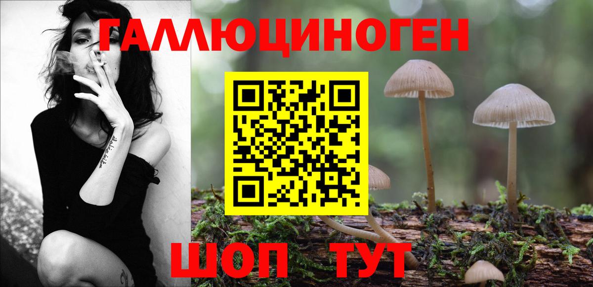 Псилоцибиновые грибы мицелий Новочебоксарск