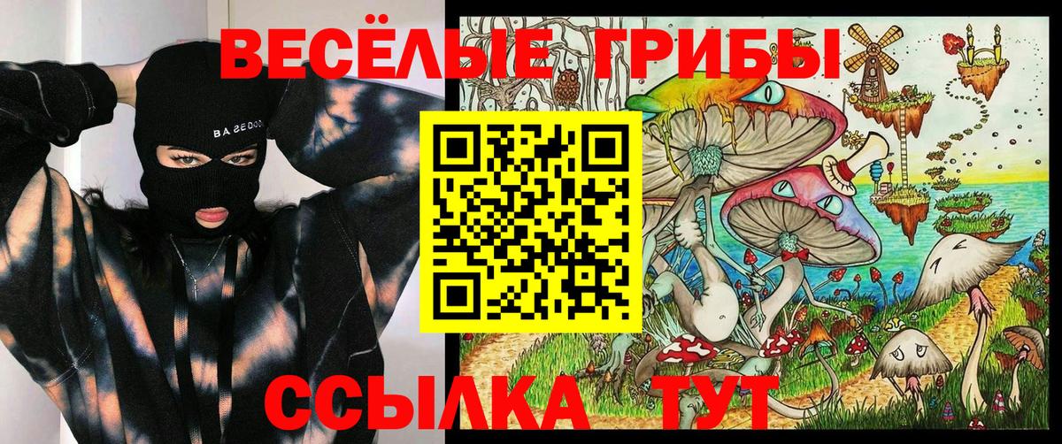 Галлюциногенные грибы ЛСД  Вход с VPN  Новочебоксарск 